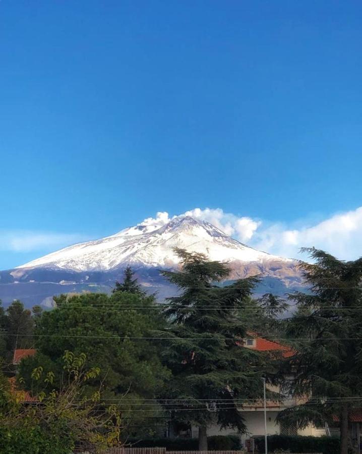 Opuntia Dell'Etna Bike House Apartman Mascalucia Kültér fotó